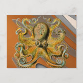 Octopus Briefkaart (Voorkant)