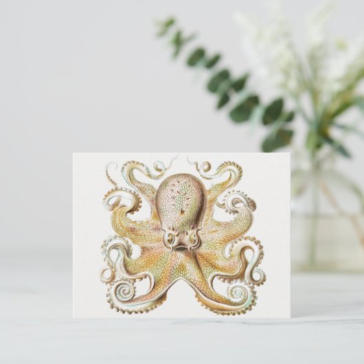 octopus briefkaart (Staand voorkant)