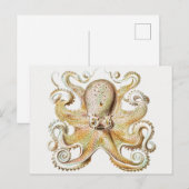 octopus briefkaart (Voorkant / Achterkant)