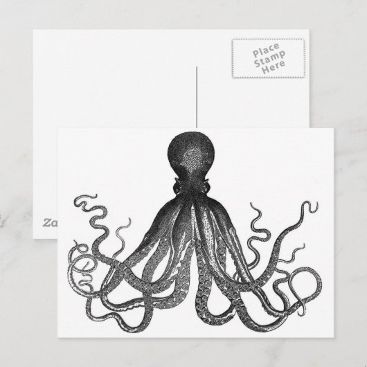 Octopus Briefkaart (Voorkant / Achterkant)