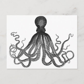 Octopus Briefkaart