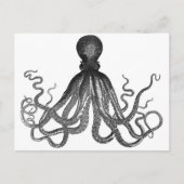 Octopus Briefkaart (Voorkant)