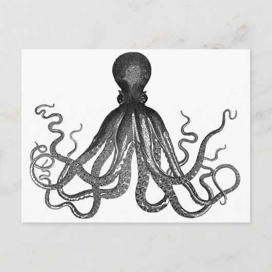 Octopus Briefkaart (Voorkant)