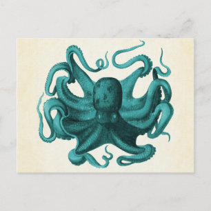 octopus briefkaart