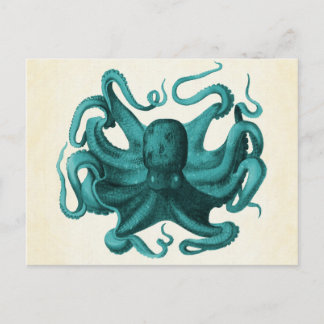 octopus briefkaart