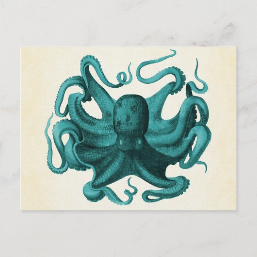 octopus briefkaart (Voorkant)