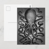 Octopus briefkaart (Voorkant / Achterkant)