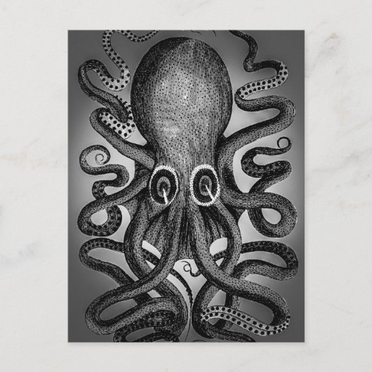 Octopus briefkaart (Voorkant)