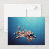 Octopus Briefkaart (Voorkant / Achterkant)