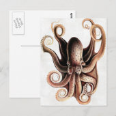 Octopus Briefkaart (Voorkant / Achterkant)