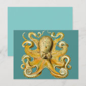 octopus briefkaart (Voorkant / Achterkant)