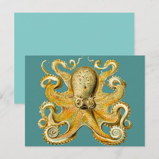 octopus briefkaart (Voorkant / Achterkant)