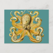 octopus briefkaart (Voorkant)