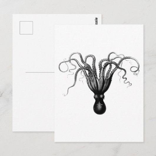  OCTOPUS-BRIEFKAART BRIEFKAART (Voorkant / Achterkant)