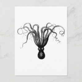 OCTOPUS-BRIEFKAART BRIEFKAART