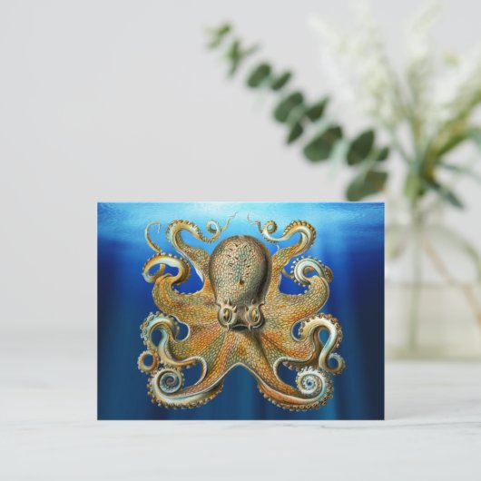 Octopus Briefkaarten (Staand voorkant)