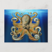 Octopus Briefkaarten (Voorkant)