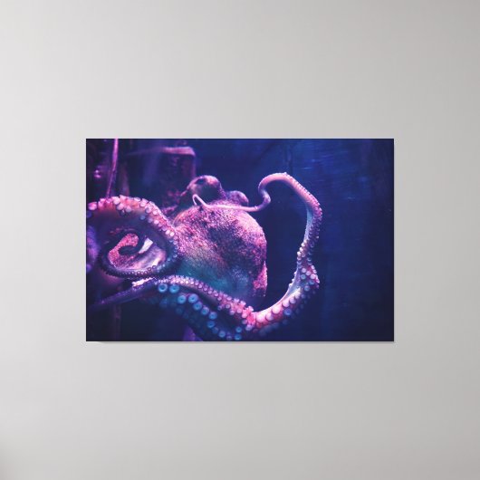 Octopus Canvas Afdruk (Voorkant)