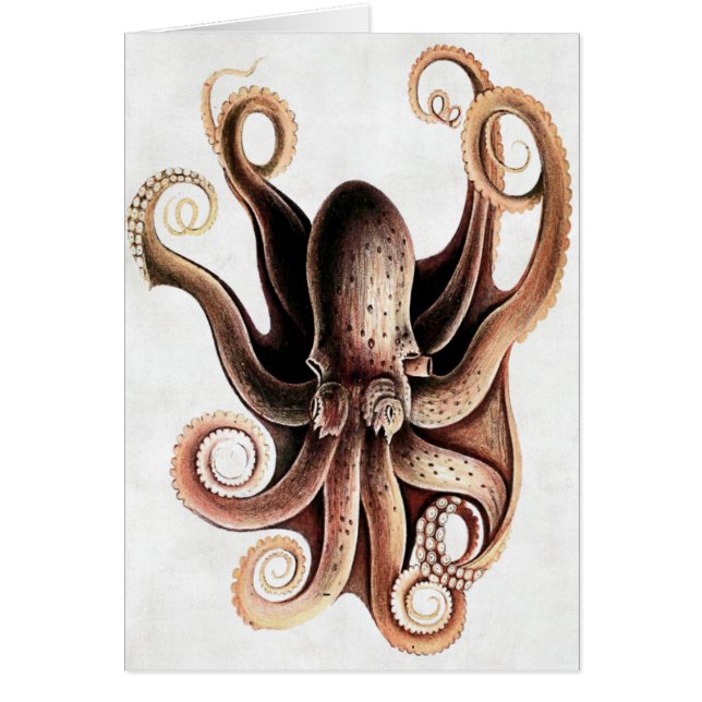 Octopus Card (Voorkant)
