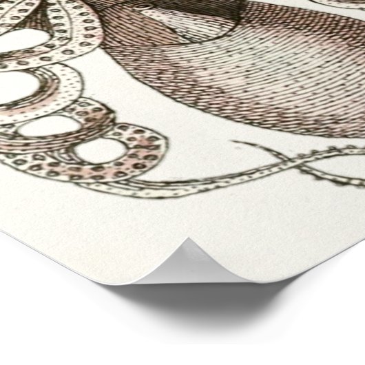 Octopus  Cephalopod Zee Scheppen Kunstafdrukken Poster (Hoek)