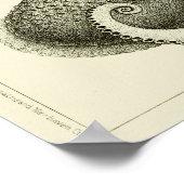 Octopus  Cephalopod Zee Scheppen Kunstafdrukken Poster (Hoek)