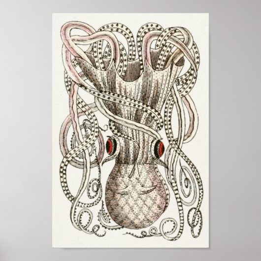 Octopus  Cephalopod Zee Scheppen Kunstafdrukken Poster (Voorkant)