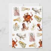 Octopus Cephalopoda Ocean Animals Verjaardag Kaart (Achterkant)