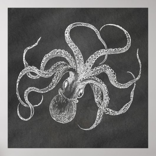 Octopus Chalkboard Achtergrond Sjabloon Poster (Voorkant)