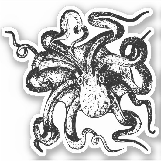 Octopus Contour Stickers (Voorkant)