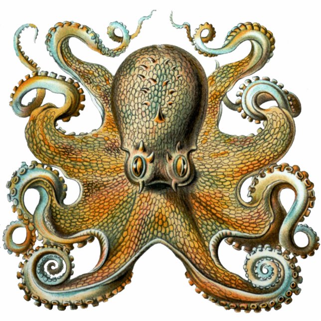 Octopus Cutout Magnet/Sculptuur Fotobeeldje Magneet (Voorkant)