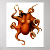 Octopus Die Cephalopod Vintage Poster (Voorkant)