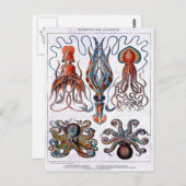 Octopus Educatief Bord Briefkaart (Voorkant / Achterkant)