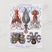 Octopus Educatief Bord Briefkaart (Voorkant)