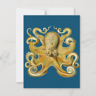 Octopus - Ernst Haeckel's Kaart