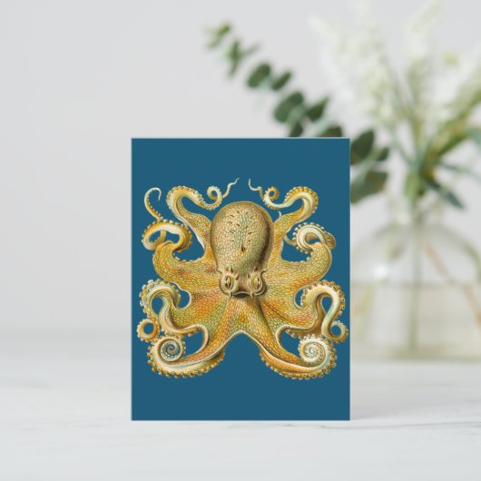 Octopus - Ernst Haeckel's Kaart (Staand voorkant)