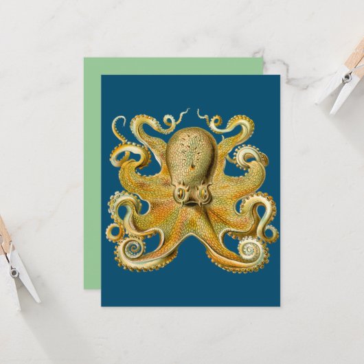 Octopus - Ernst Haeckel's Kaart (Voorkant / Achterkant in situ)