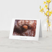 Octopus Eye Birthday Card Kaart (Gele Bloem)