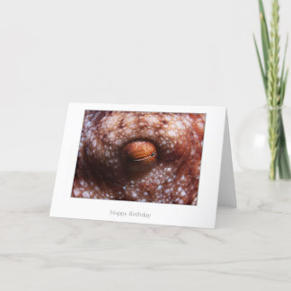 Octopus Eye Birthday Card Kaart
