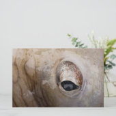 Octopus Eye Briefpapier (Staand voorkant)