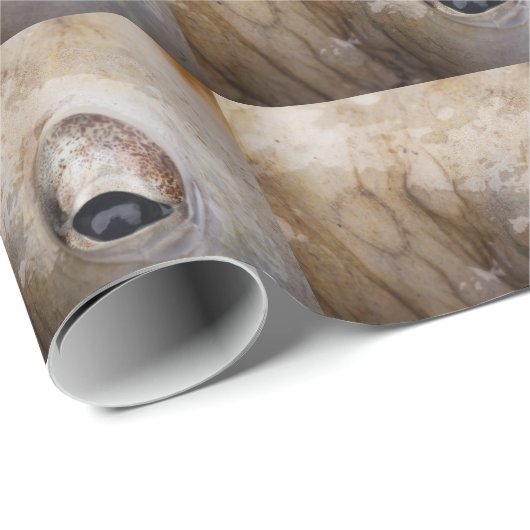 Octopus Eye Cadeaupapier (Rol Hoek)