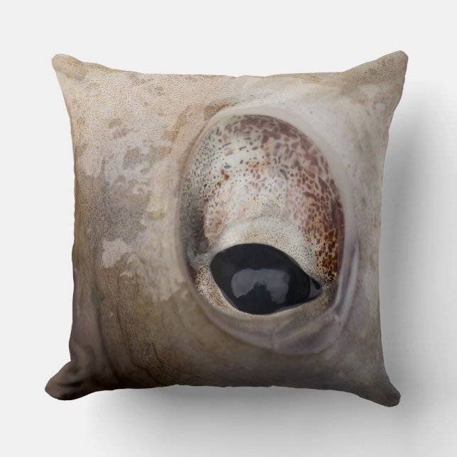 Octopus Eye Kussen (Voorkant)