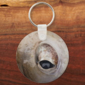 Octopus Eye Sleutelhanger (Voorkant)