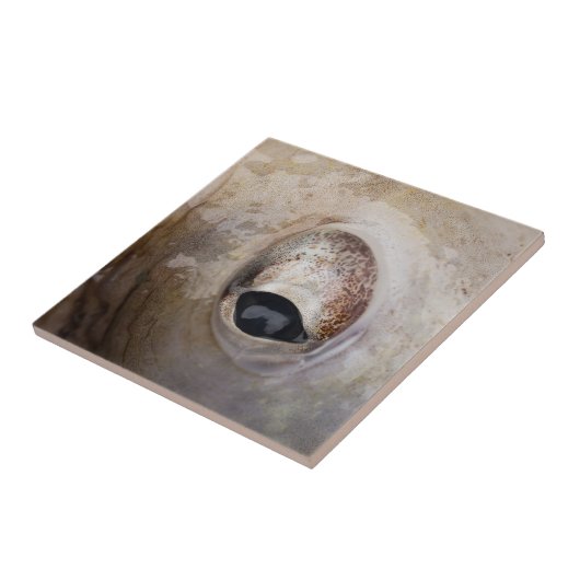 Octopus Eye Tegeltje (Zijkant)