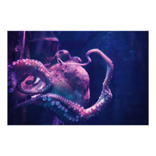 Octopus Foto Afdruk