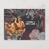 Octopus Garden Adreswijziging Briefkaart (Voorkant)