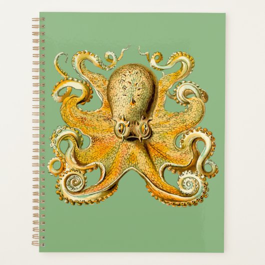 Octopus Gold en Blue Spiral Planner (Voorkant)