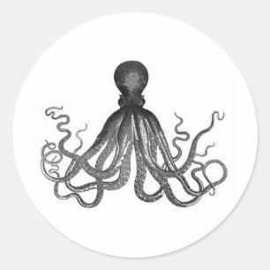  octopus gravure ronde sticker