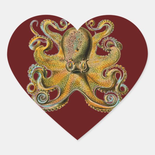 Octopus Hart Sticker (Voorkant)