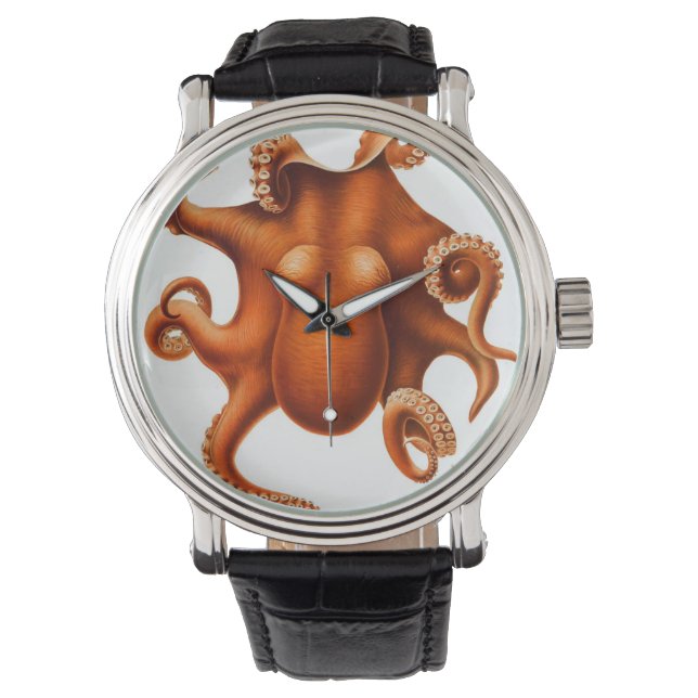  Octopus Horloges (Voorkant)