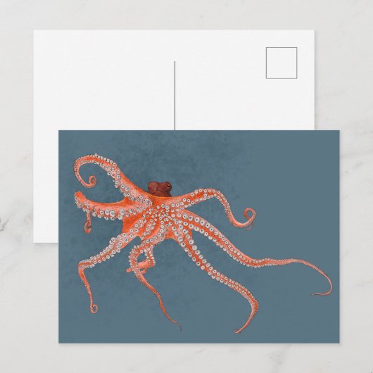 Octopus Hugs Briefkaart (Voorkant / Achterkant)